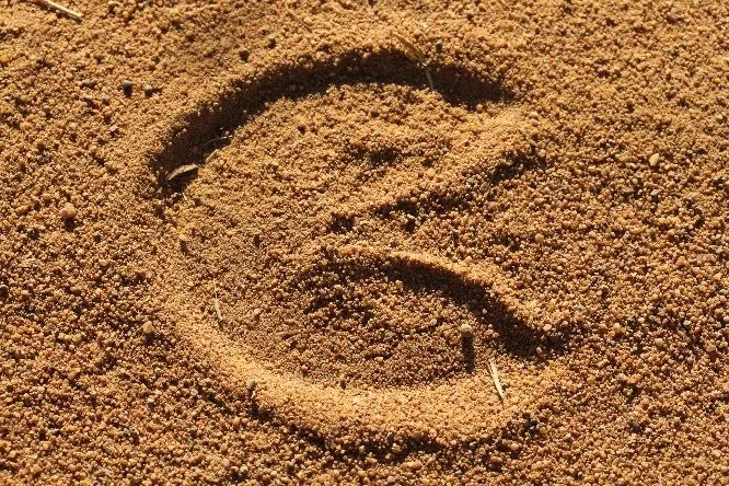 An animal track pressed into the sand